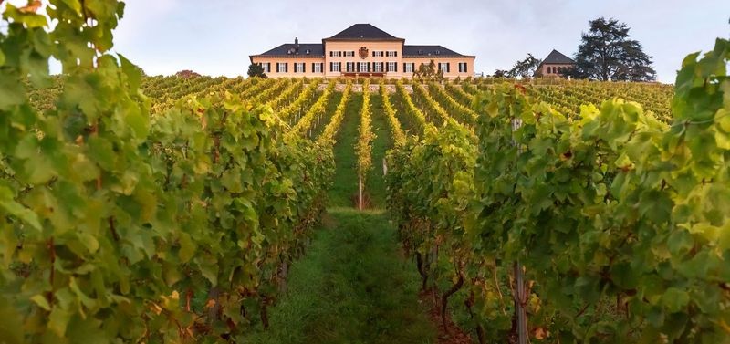 Rheingau