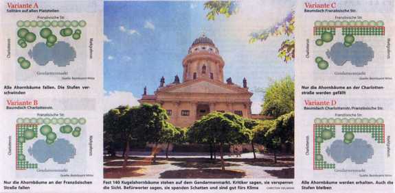 ahornbume_auf_gendarmenmarkt_klein